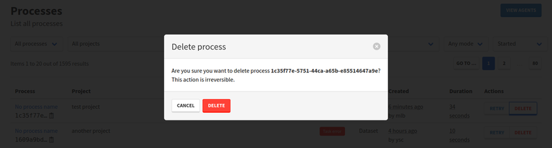process deletion confirmation modal