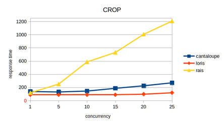 concurrency-crop