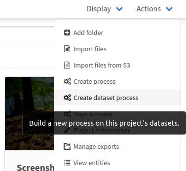 Start dataset process in menu